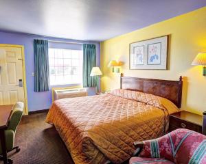 a hotel room with a bed and a window at Nites Inn in Killeen