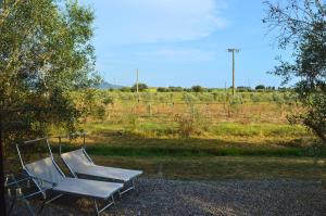 a metal slide in a field with a fence at Villa Orta - Agriturismo con colazione Vegan, Plant-based Farmhouse in Riotorto