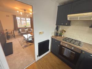 Kuchyň nebo kuchyňský kout v ubytování Luxury 2 Bedroom Apartment