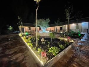 a garden at night with a tree in the middle at Agrotourism Isak in Finiq +8 photos
