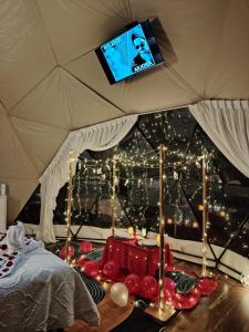a bedroom with christmas lights and a tv on the ceiling at Sweet Forest-Domo Sol in Sanabria
