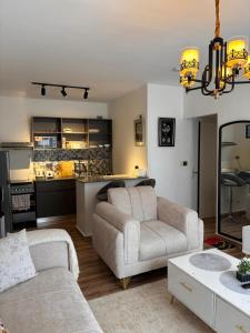 Χώρος καθιστικού στο Snyder luxe homes