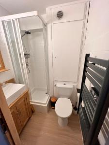 Un pequeño baño con inodoro y ducha. en Joli studio hypercentre, en Les Carroz d'Araches