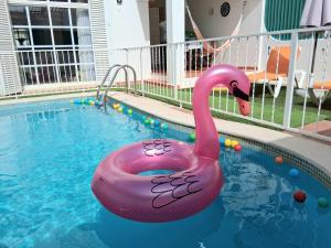 Πισίνα στο ή κοντά στο Marreiro's house Algarve - Child friendy - Private Pool