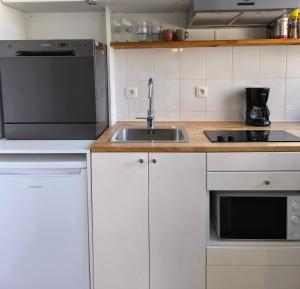 a small kitchen with a sink and a stove at Roosevelt Apartment Antwerp in Antwerp