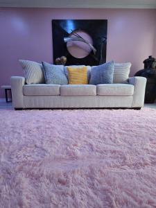 a couch in a living room with a pink rug at Boro Breeze Vacation Rental in Murfreesboro