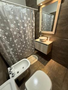 a bathroom with a sink and a toilet and a shower at las lavandas alojamiento in Tinogasta