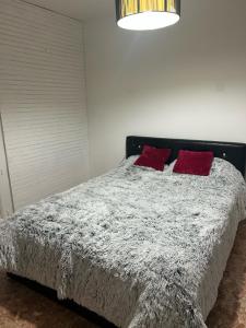 a bedroom with a bed with two red pillows at Maison Luna 2 in Salies-de-Béarn