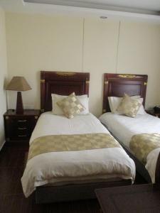 1 dormitorio con 2 camas y lámpara. en Sabean International Hotel, en Āksum