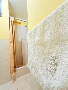 a bathroom with a shower with a white towel at Hostal La Alborada in Cajamarca