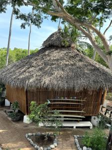 Gallery image of Glass Treehouse, Sauna, Ice Bath, Yoga in Saladita, 50m from Surf in La Majahua