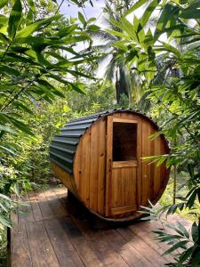 Gallery image of Glass Treehouse, Sauna, Ice Bath, Yoga in Saladita, 50m from Surf in La Majahua