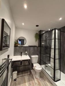 a bathroom with a toilet and a sink at New City Centre Flat No 1 2 Bedrooms Free Parking in Leicester