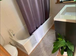 a bathroom with a shower curtain and a toilet and a sink at Seatoun Seaview in Wellington