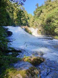 Un río con rocas en medio de un bosque en Pahoia Pitstop, en Tauranga