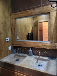 a bathroom with a sink and a mirror at Chalet Chamois & Spa in Lullin +7 photos