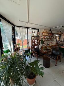 ein Raum mit Pflanzen und Stühlen und einem Buchladen in der Unterkunft Space in Blackstone in Seoul