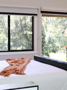 un letto in una stanza con due finestre di Hideaway Falls - Bunya Cottage a Mapleton