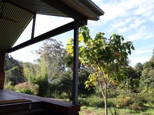 Κήπος έξω από το Hideaway Falls - Piccabeen Cabin