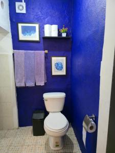 a blue bathroom with a toilet and towels at Departamento Completo En Centro de Monterrey in Monterrey