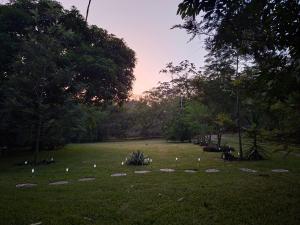 a field with a lot of candles in the grass at Taw K'a Cabañas  +1 photo