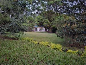 a yard with a house in the background with flowers at Taw K'a Cabañas 