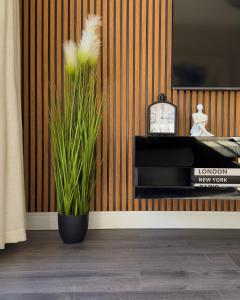 a vase with a plant in a room with a clock at Central Modern 2 Bedroom - Bergrivier Hideaway in Velddrif +71 photos