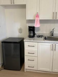 a kitchen with a black refrigerator and a sink at Goldwin's Place in Toronto