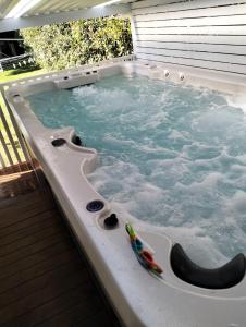 a jacuzzi tub with toys in it at Family Beach House with Swim Spa in Nelson Bay