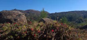 Fotografie z fotogalerie ubytování The Stone Nook v destinaci Mbabane + 45 fotografií