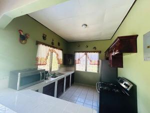 a kitchen with green walls and a black refrigerator at Cozy house, close to the beach in Tulian Campo in Tulián
