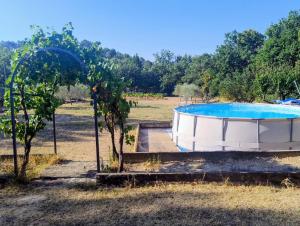a large pool in a field with a tree at Marcolline in Rians