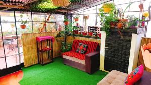 a small greenhouse with a red bench and plants at Anita's house 5 in Puno