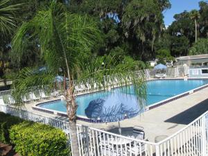 uma piscina com uma palmeira ao lado em Bulow Cottage 25 em Flagler Beach