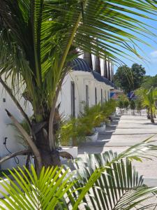 a group of palm trees and plants on a sidewalk at White Beach Resort Longset in Koh Rong Island