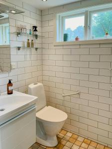 a white bathroom with a toilet and a sink at Historic Countryside Home Near Lake In Ekeryd in Svängsta