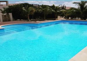 a large blue swimming pool with palm trees in the background at Villa Caribbean Dream Bonaire in Kralendijk