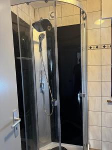 una ducha con puerta de cristal en un baño en Ferienwohnung Distelkamp, en Neuwied