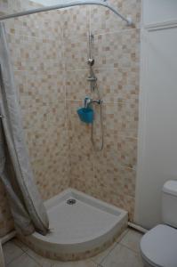 a bathroom with a shower with a toilet at Sweet Mangot in Gros-Morne +15 photos