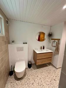 a bathroom with a toilet and a sink at Renovated Holiday Home By Kvie Lake in Ansager