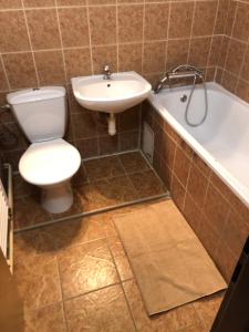 a bathroom with a toilet and a sink at Ubytovňa pri Jazere in Bratislava +2 photos