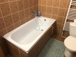 a bathroom with a tub and a toilet at Ubytovňa pri Jazere in Bratislava