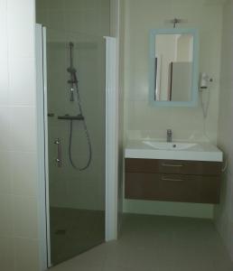 a bathroom with a shower and a sink at Gite du Domaine du Haut Perron in Thésée
