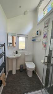 a bathroom with a toilet and a sink at Primrose Cottage peaceful room and private garden in Helston
