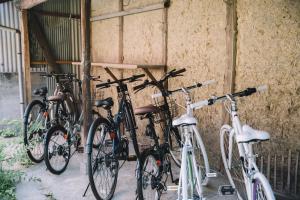 Ποδηλασία στο 自去来 ή στη γύρω περιοχή