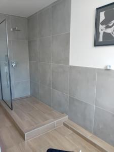 a bathroom with a shower with a glass door at Stellas Monteurwohnungen in Crimmitschau +10 photos