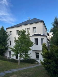 a white building with a tree in front of it at Stellas Monteurwohnungen in Crimmitschau