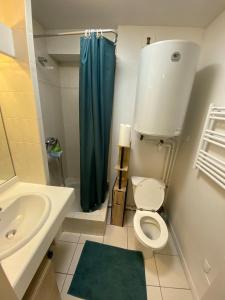 a bathroom with a toilet and a blue shower curtain at Studio Centre-ville de Vannes in Vannes
