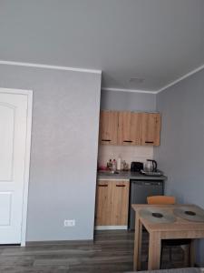 Η κουζίνα ή μικρή κουζίνα στο Dārza Studija