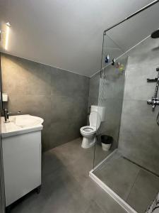 Un baño con ducha, inodoro y lavabo. en NUT Studio, en Aghireş